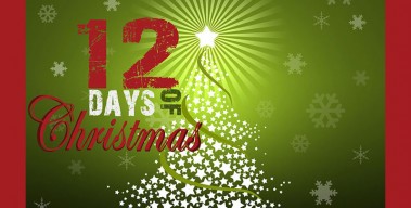 Our Annual “12 Days of Christmas Sale!”