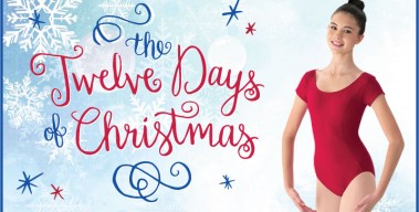 It’s Back – Our “12 Days of Christmas” Sale!