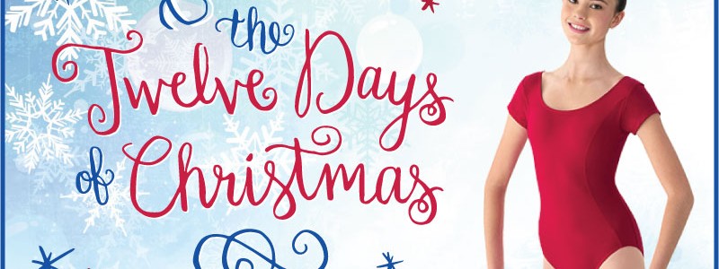 It’s Back – Our “12 Days of Christmas” Sale!