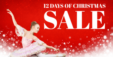 It’s Back – Our “12 Days of Christmas Sale” Dec. 9-20